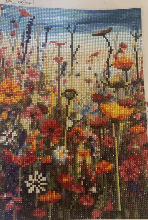 Wildflower Field